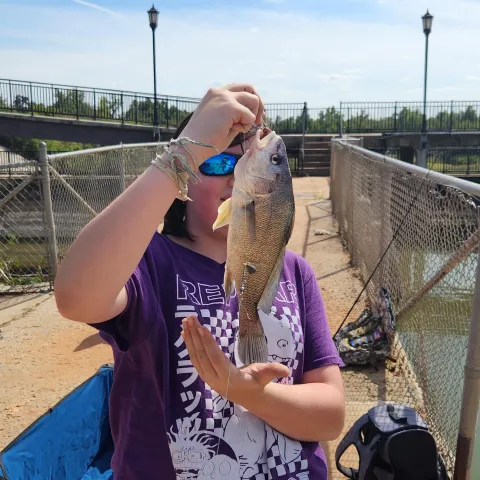 Ethan H. is shown holding a Freshwater Drum that he caught while fishing in Oklahoma.