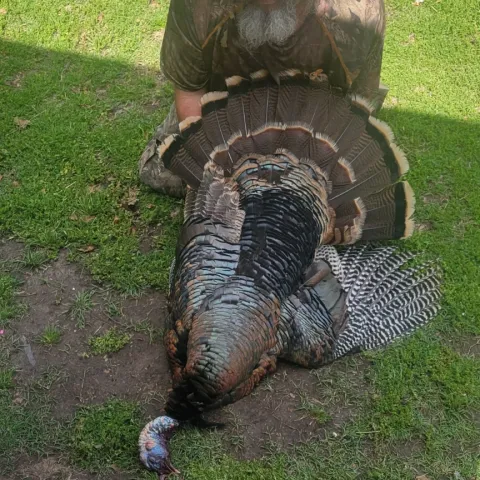 William with his harvested Oklahoma Turkey