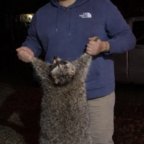 Dakota Gordon with his harvested Oklahoma raccoon
