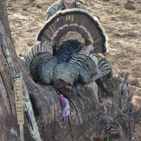 Lanie Gardner with her harvested Oklahoma wild turkey