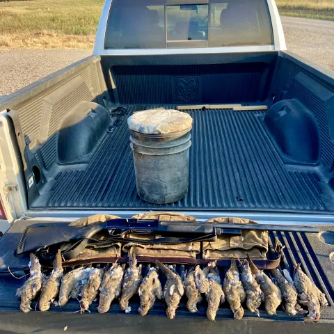Perry Newman with his harvested Oklahoma Dove