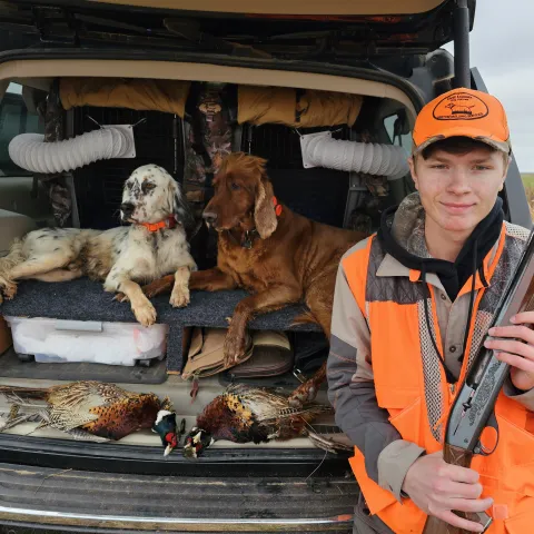 Hunter and dogs with pheasant.