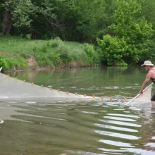 Biologist seining a body of water by hand.