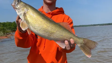 Limbline Fishing Videos  Oklahoma Department of Wildlife Conservation
