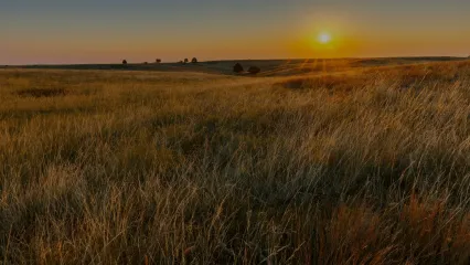 A view of upland prairie during the sunset.