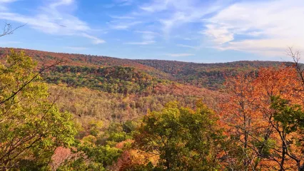 A view of fall foliage from Ozark Plateau WMA.