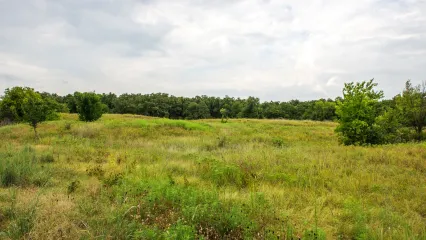 A photo of ideal deer habitat of mixed vegetation.