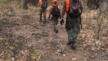 three people hunting in the woods 