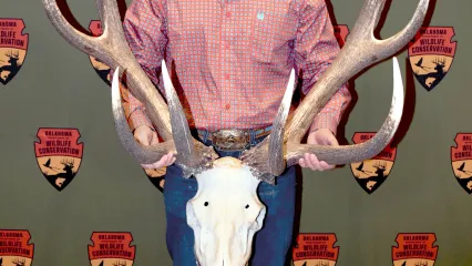 Scrivner record elk 411 1/8