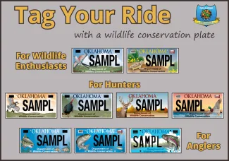 2018 Wildlife Conservation license plate
