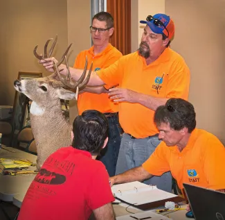 Certified scorers prepare to measure the antlers on a whitetail mount brought into last year's March Rack Madness. This year's free scoring event will run from 1 to 8 p.m. March 5 at Wildlife Department headquarters in Oklahoma City. (Don P. Brown/ODWC)