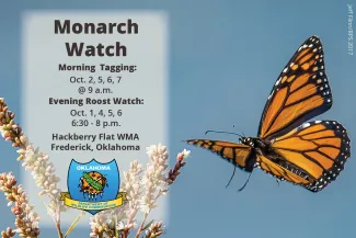 Monarch watch 2019 promo