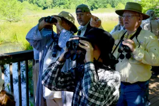 Individuals with binoculars bird watching.