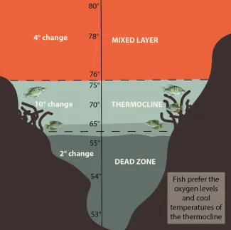 Graphic showing the layers of the temperature changes in water and where the thermocline is located.