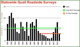 Quail survey 2017