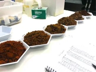 Soil samples from Packsaddle WMA showing a range of soil colors from red to dark brown, illustrating the variability in the soils present within the WMA. (Jacob Reeves)