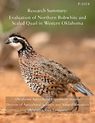 Northern Bobwhite and Scaled Quail research summary cover