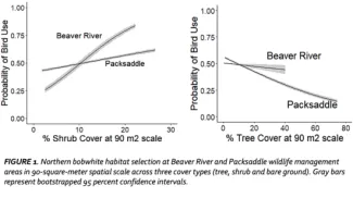 Northern bobwhite habitat selection at Beaver River and Packsaddle WMA's in 90 sq-meter spatial scale across 3 cover types (tree, shrub, and bare ground). Gray bars represent bootstrapped 95 percent confidence levels. 
