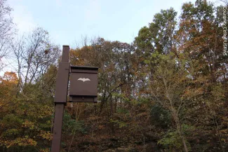 Bat house, photo by Courtney Celley/USFWS