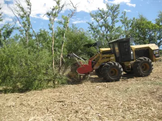 Black Kettle action, photo by Jeremiah Zurenda