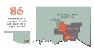 Chicken Turtle Map, highlight southeast Oklahoma.