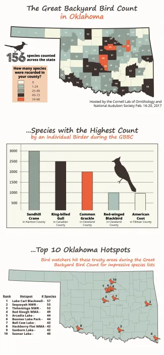 Great Backyard Bird Count Summary Map & Charts