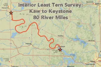 Interior Least Tern Survey, Kaw to Keystone 80 River Miles