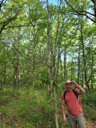 Mark Jenison after finishing chemical timber thinning.