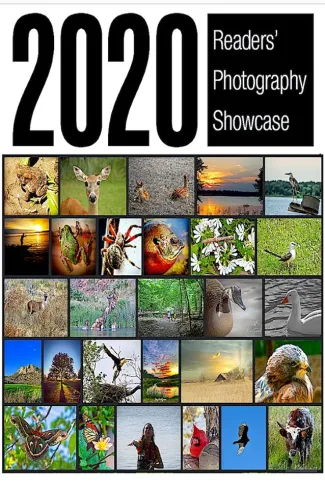 Readers' Photography Showcase collage 2020.