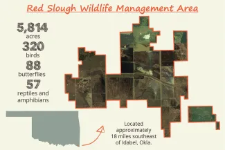 Red Slough WMA bird count map.