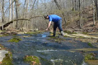 Man surveying creek for salamanders.