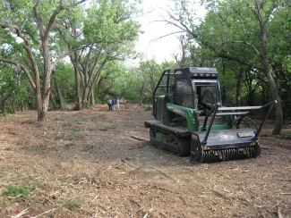 Black Kettle roost, photo by Jeremiah Zurenda