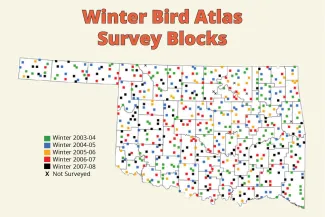 Winter Bird Atlas Survey Blocks
