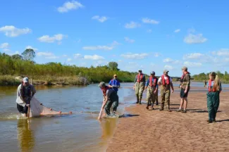 Seining For Arkansas River Shiners