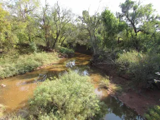 Creek with vegetated buffers.