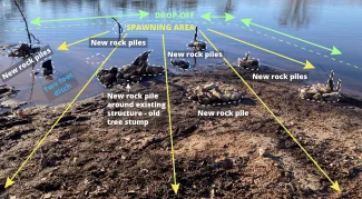 Pond habitat management graphic showing drop off, structure, spawning areas.