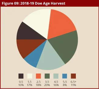 2018-2019 Big Game Report | Oklahoma Department Of Wildlife Conservation