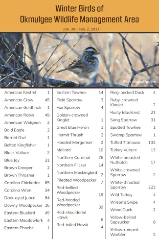 A list of birds documented at Okmulgee WMA in 2017