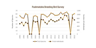 A graph showing the increasing number of species and individual birds detected on the Pushmataha Breeding Bird Survey. 