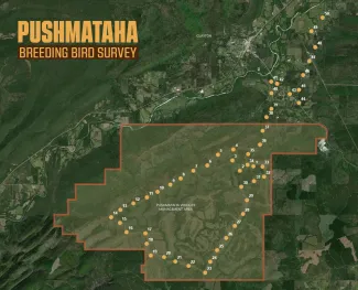 A map showing the survey points of the Pushmataha Breeding Bird Survey, with a majority occurring on the Pushmataha Wildlife Management Area.