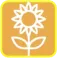 A square icon with a yellow background and a basic line-art sunflower in white.