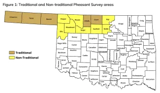 pheasant survey counties