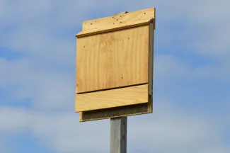 A slim wooden box hangs from a post. 