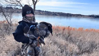 A youth hunter is seen holding their harvested ducks.