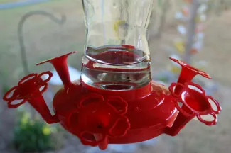 A glass jar with a red plastic attachment used for hummingbird feeders.