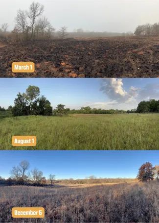 A collage of three panorama photos showing a burn unit post fire.