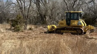 Clearing eastern red cedar has helped turkey numbers rise on Malson’s land. 