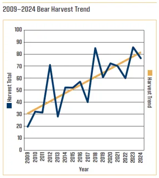 2009-2024 Bear Harvest Trend Figure