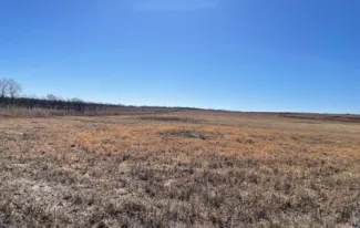 A large field and blue sky.