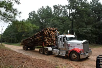 logging truck